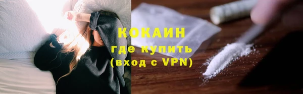 амф Козловка