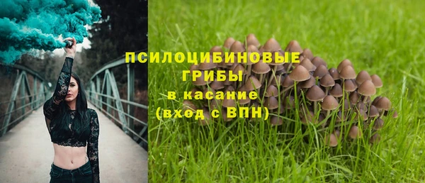 соль курить ск Аркадак