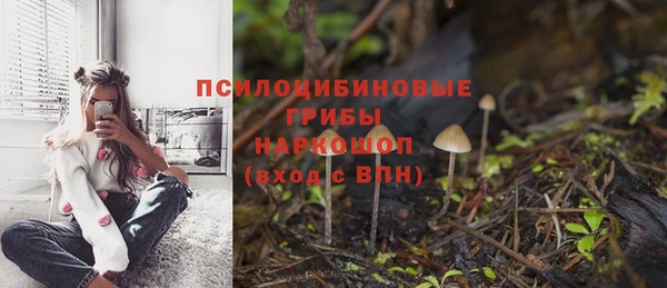 соль курить ск Аркадак