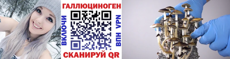 Псилоцибиновые грибы ЛСД  Мелеуз 